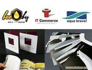 宁波市鼎旺交通设施工程 以专业产品与服务，护航城市慢行交通